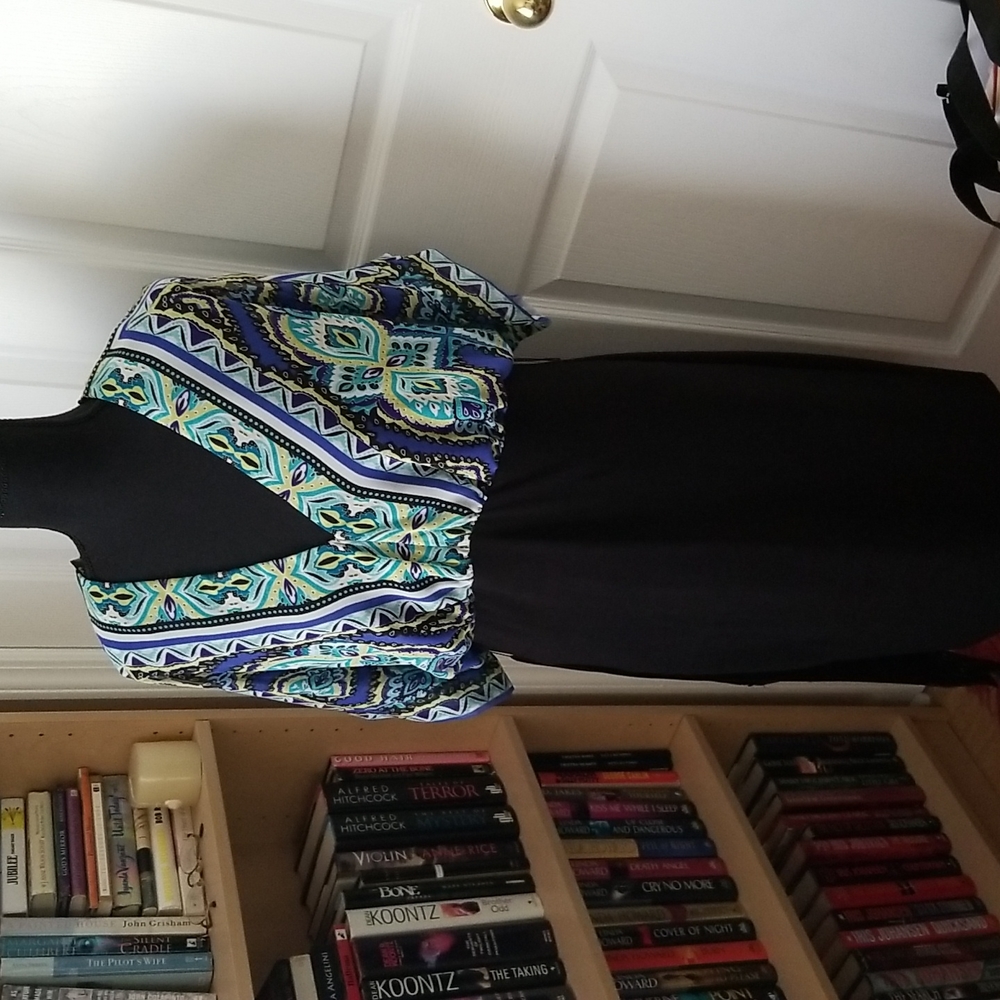 Bisou Bisou Dress worn once.